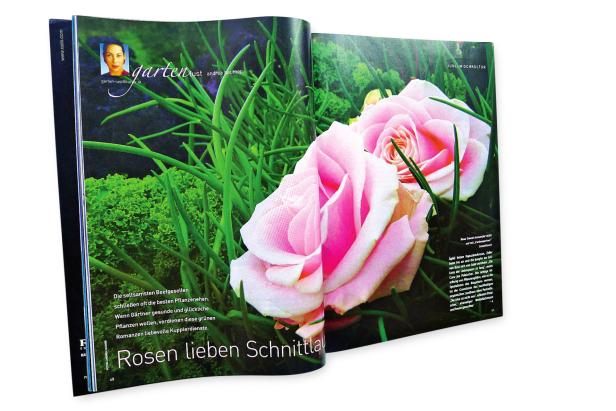 … Eine geöffnete Zeitschrift zeigt eine Nahaufnahme von rosa Rosen und Schnittlauch.