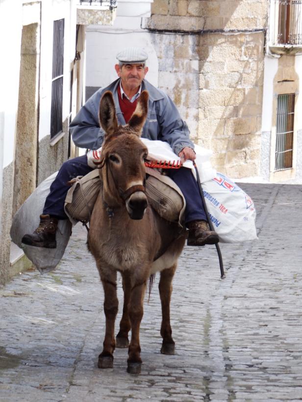 Ein älterer Mann reitet auf einem Esel durch eine gepflasterte Gasse.