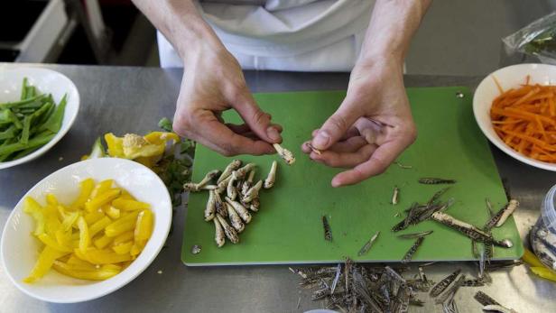 Ein Koch bereitet Zutaten wie Gemüse und Heuschrecken auf einem Schneidebrett zu.