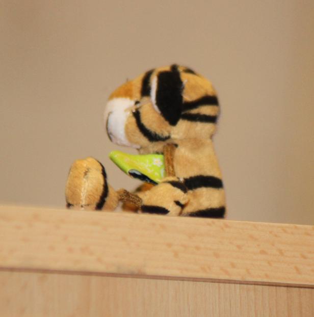Ein Stofftiger sitzt auf einem Holzbrett und hält ein kleines, grünes Objekt.