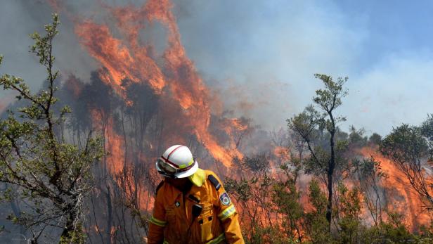 Ein Feuerwehrmann steht vor einem Waldbrand.