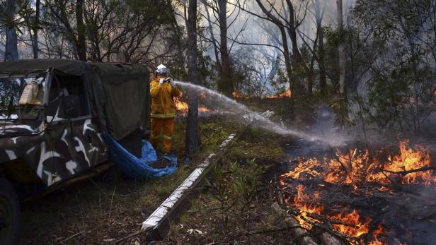 Ein Feuerwehrmann löscht einen Waldbrand neben einem Militärfahrzeug.