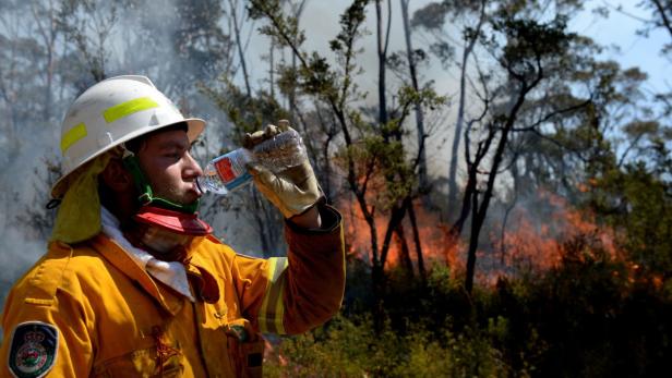 Ein Feuerwehrmann trinkt Wasser vor einem Waldbrand.