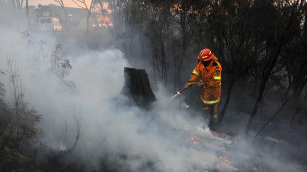 Ein Feuerwehrmann löscht einen Waldbrand.