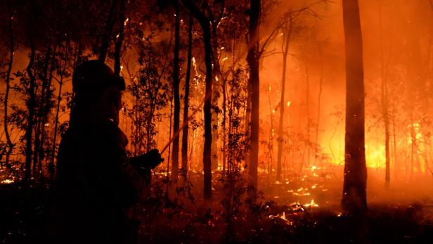 Ein Feuerwehrmann bekämpft einen Waldbrand.
