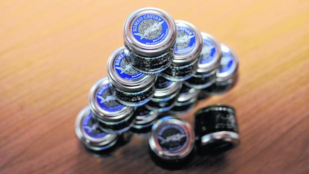 Kaviar-Produktion soll verdoppelt werden