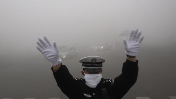 Metropole erstickt im Smog