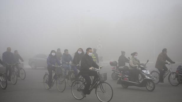 Metropole erstickt im Smog