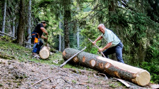 Zwei Männer spalten Baumstämme im Wald mit Äxten.