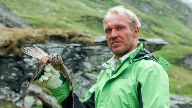Ein Mann hält einen Falken auf seiner behandschuhten Hand.