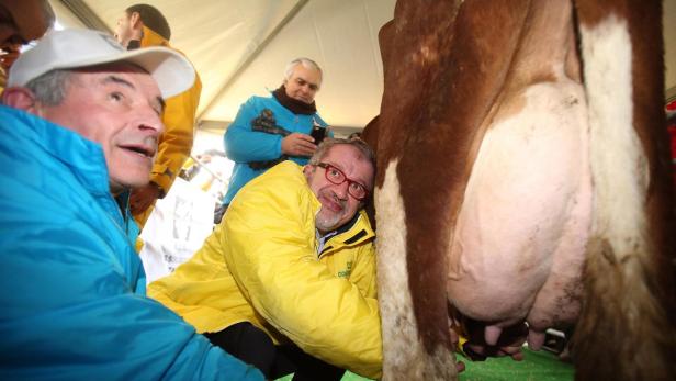 Italiens Milchbauern und ihre Kühe demonstrieren