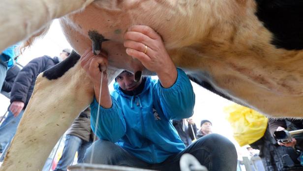 Italiens Milchbauern und ihre Kühe demonstrieren