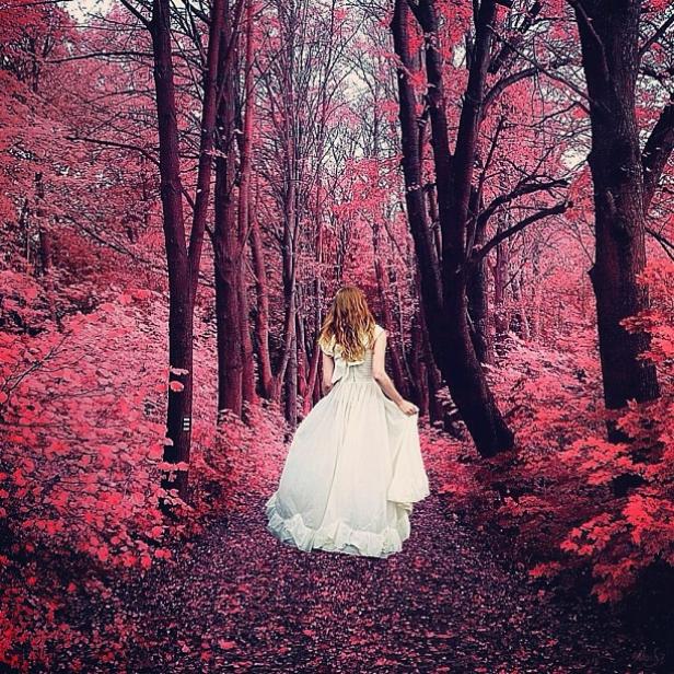 Instagram-Bilder wie aus einem Märchen