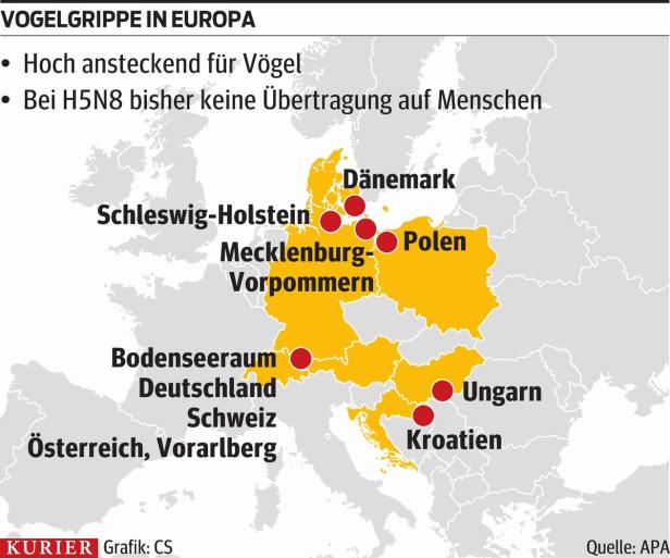 Vogelgrippe: Aufatmen bei Vorarlberger Hühnerhof