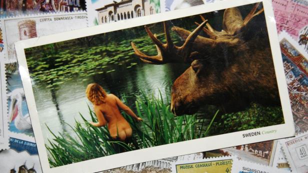 Ein Elch steht am Ufer eines Sees, während eine nackte Frau ins Wasser geht.