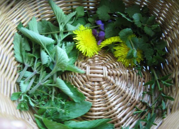 Kochen mit Blüten