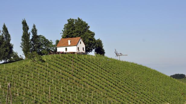 Ein Weinberg mit einem kleinen Haus auf einem Hügel.