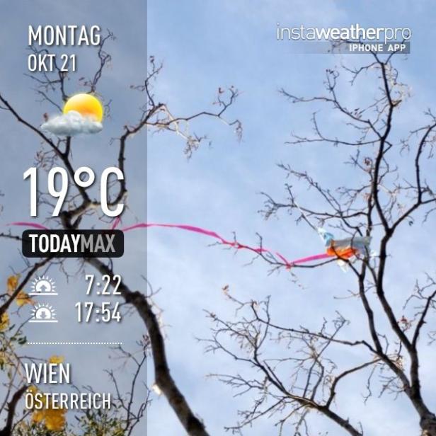 Eine Wettervorhersage für Wien, Österreich, zeigt 19 Grad und Sonnenschein.