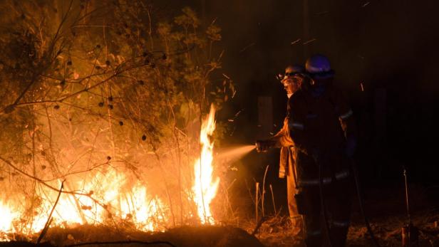 Zwei Feuerwehrleute bekämpfen einen Waldbrand in der Nacht.