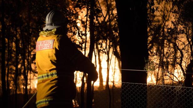 Ein Feuerwehrmann der NSW Rural Fire Service steht vor einem Waldbrand.