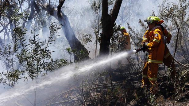 Feuerwehrleute bekämpfen einen Waldbrand mit einem Wasserstrahl.
