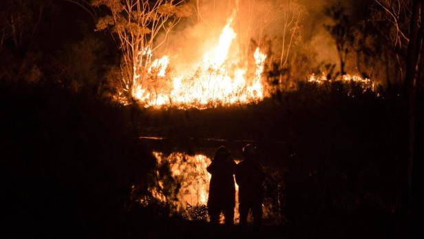 Zwei Feuerwehrleute beobachten einen Waldbrand bei Nacht.