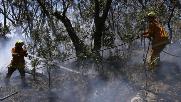 Zwei Feuerwehrleute bekämpfen einen Waldbrand mit Wasserwerfern.