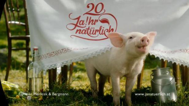 Ein Ferkel steht unter einer Tischdecke mit der Aufschrift „20 Jahr natürlich“.