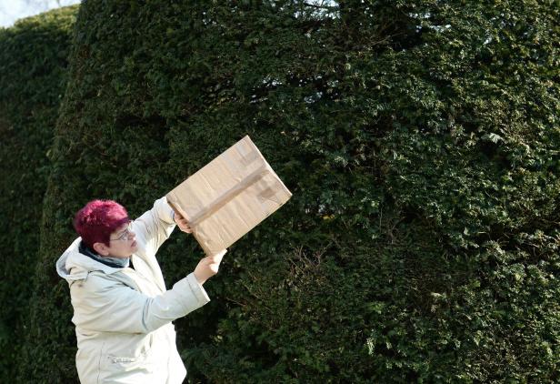 Eine Frau mit roten Haaren hält einen Karton vor einer grünen Hecke.