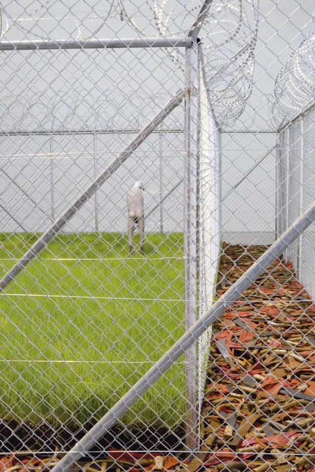 Ein umzäuntes Areal mit Rasen und einer Ansammlung alter Werkzeuge hinter einem Zaun mit Stacheldraht.