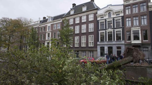 Tote durch Baum in Amsterdam
