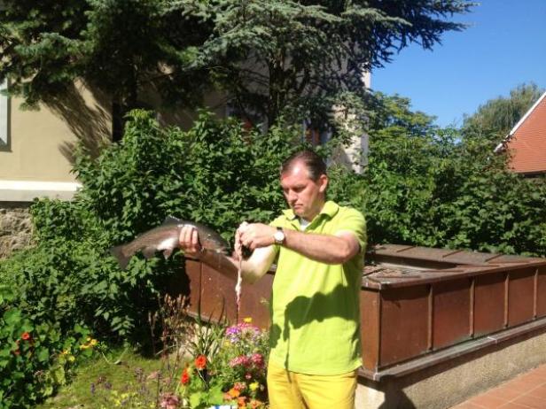 Toni Mörwald - Weine.Winzer.Wege. - ORF III - Popup Media Ein Mann in gelber Kleidung säubert einen großen Fisch im Freien.