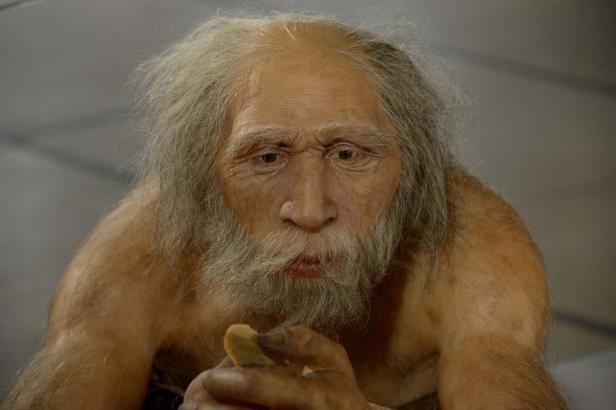 Ein Modell eines Neandertalers betrachtet einen Stein in seinen Händen.