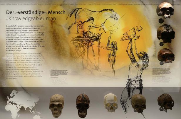 Eine Museumstafel über die Ursprünge des modernen Menschen und frühe Kunstwerke wie Höhlenmalereien.