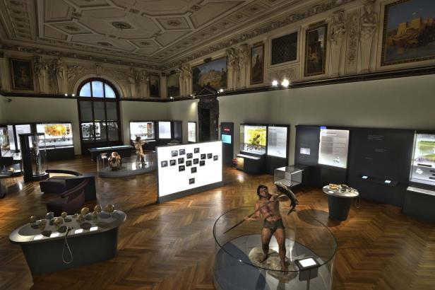 Innenansicht eines Museums mit Ausstellungsstücken zur Menschheitsgeschichte.