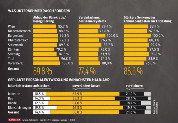 Unternehmer vom Amtsschimmel verfolgt