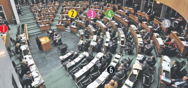Flügelschlag im Sechser-Parlament
