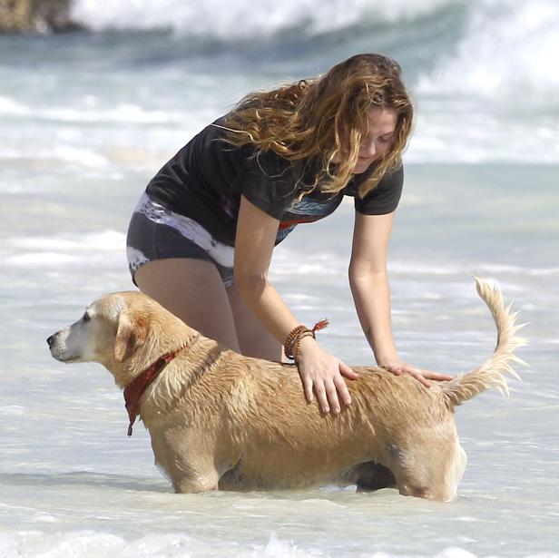Eine Frau streichelt einen nassen, hellbraunen Hund im flachen Wasser am Strand.