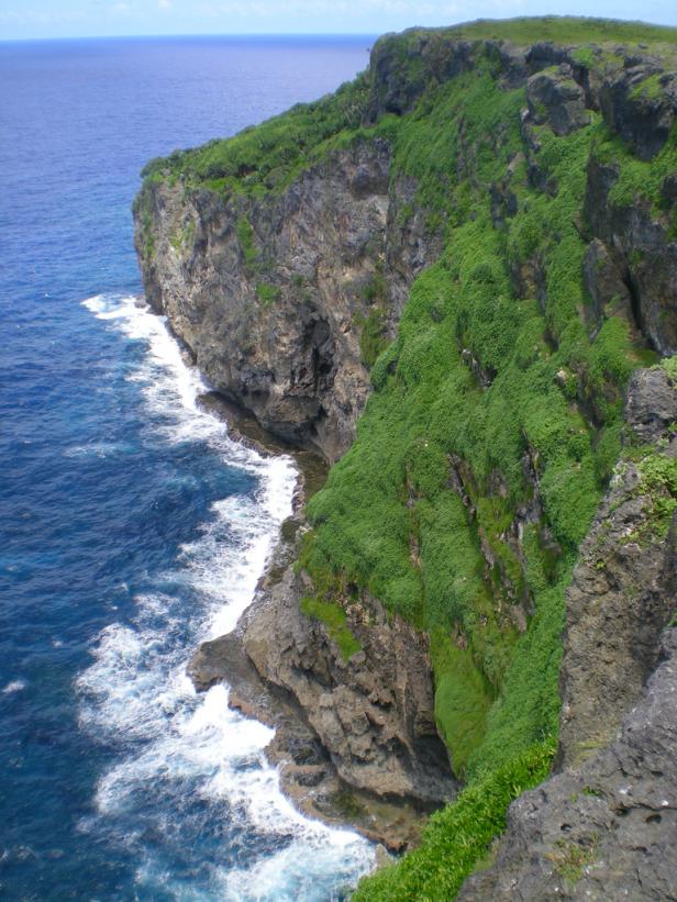 Eine steile Klippe mit üppiger Vegetation stürzt ins blaue Meer.