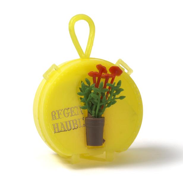 Eine gelbe Dose mit einer kleinen Topfpflanze und der Aufschrift „Regen Haubli“.