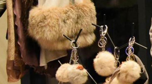 Tierschützer: Pelz-Verbot auf Wiener Christkindlmärkten ignoriert