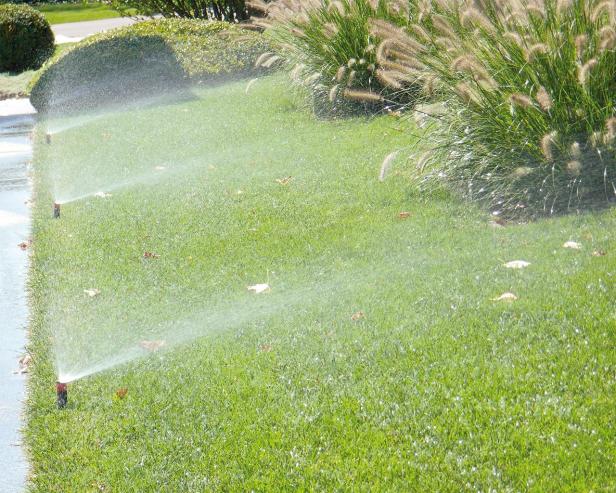 Wasser marsch: Die Alternativen zur Gießkanne