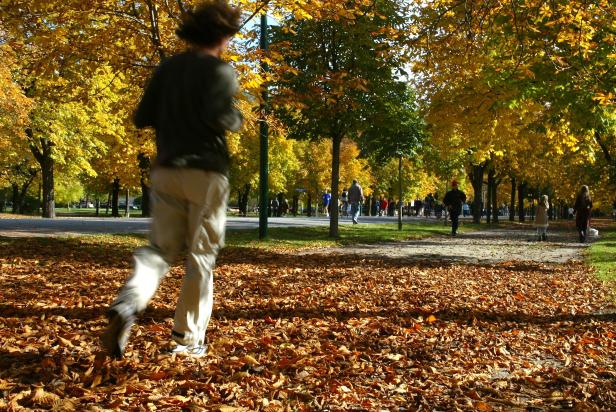 Ein Mann joggt durch einen Park im Herbst, bedeckt mit Laub.