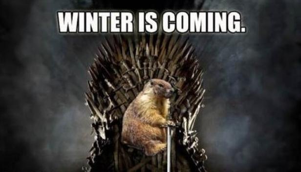 Ein Murmeltier sitzt auf dem Eisernen Thron, darüber steht „Winter is coming.“.
