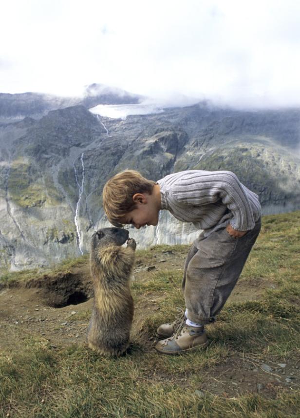 Ein Junge beugt sich zu einem Murmeltier vor einer Bergkulisse.