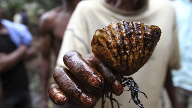 Nigeria: Vier Bauern gegen Shell