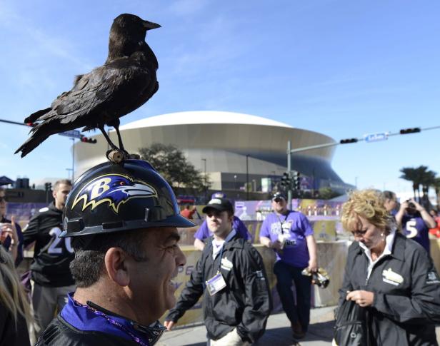 Baltimore Ravens sind NFL-Champions