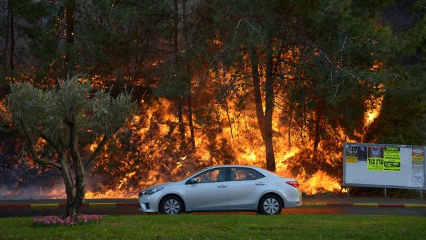 Ein silbernes Auto steht vor einem Waldbrand.
