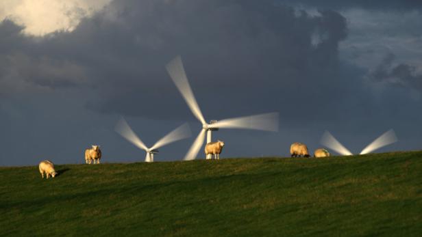 Zehn Fakten zur Windkraft