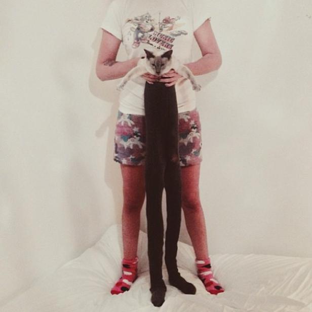 Eine Person hält eine Katze, die in eine lange, schwarze Strumpfhose gesteckt wurde.